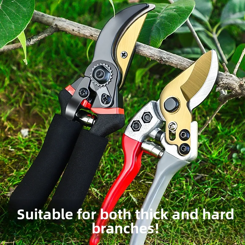 

Pruning and Thickening SK5 Garden Flowers and Trees Branches Fruit Trees Thickening Flowers Professional High end Effortless