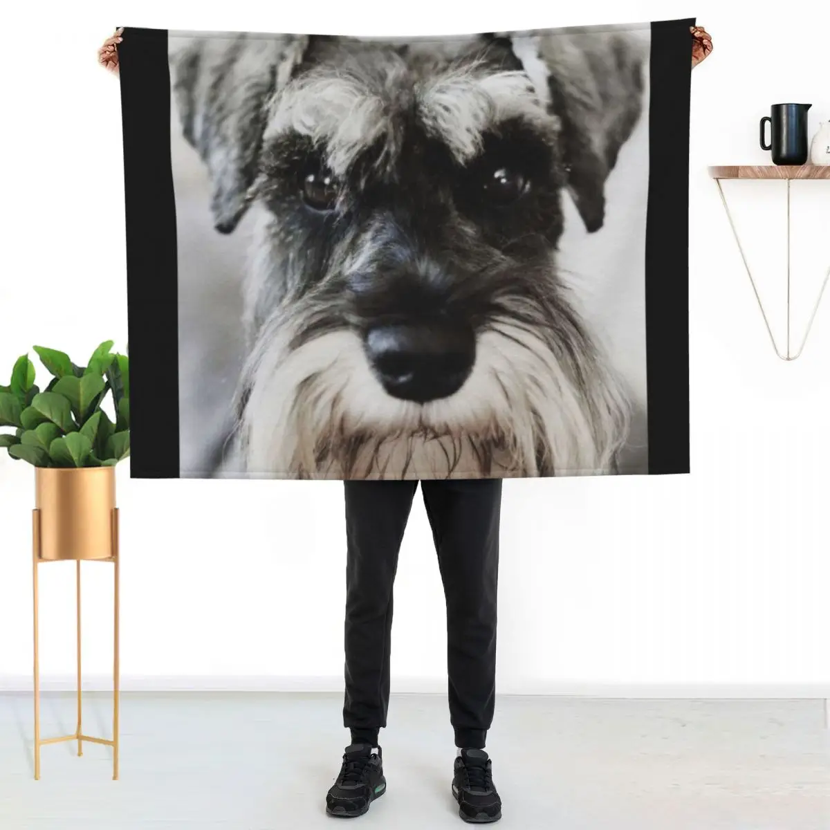 Schnauzer dog full face pets dogs cute puppy Throw Blanket Luxury St Single for winter Thin Tourist Blankets