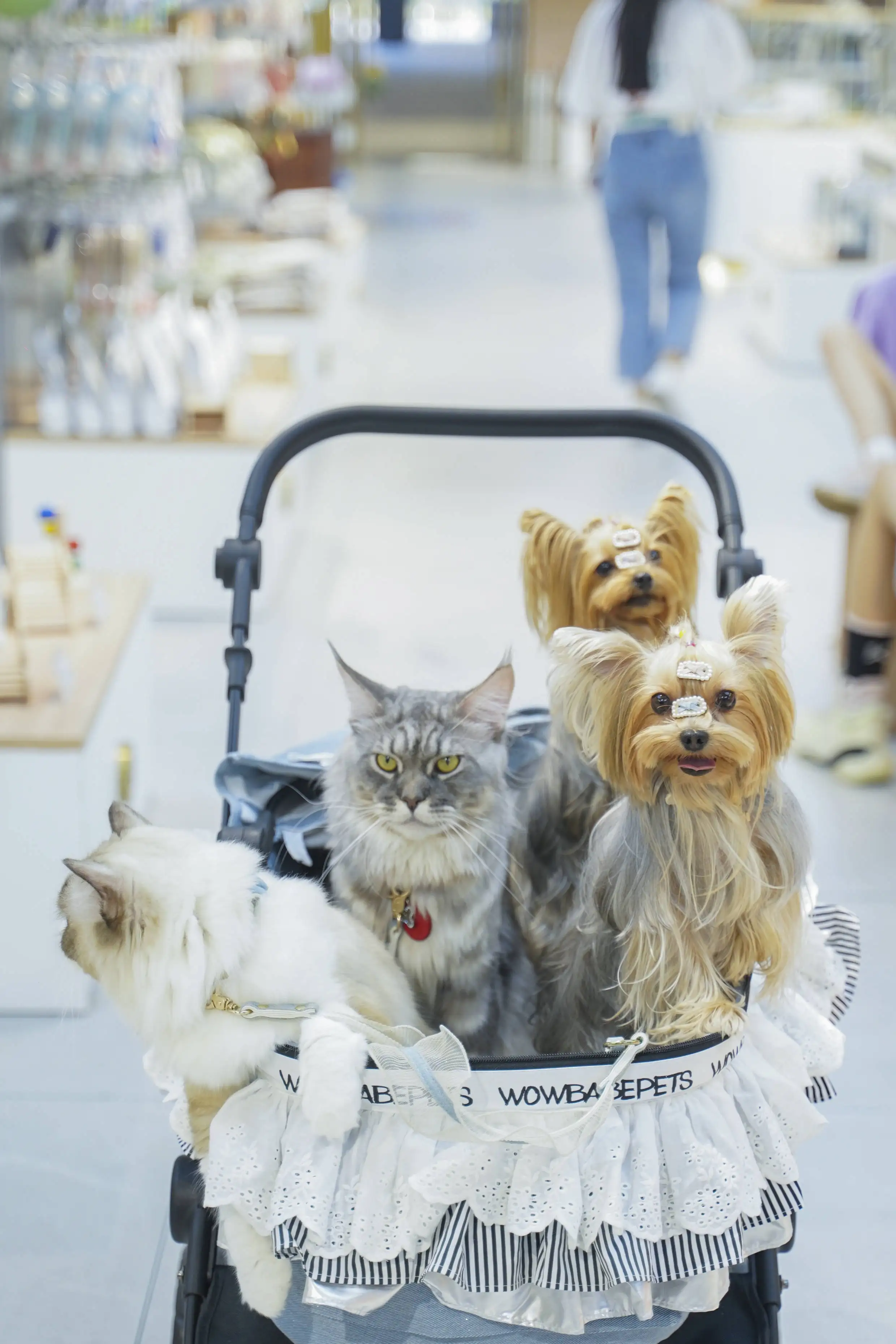 

Набор из 4 шестигранных отверток из твердосплавной стали для ремонта радиоуправляемых моделей автомобилей, самолетов и лодок, 1.5/2.0/2.5/3.0 мм