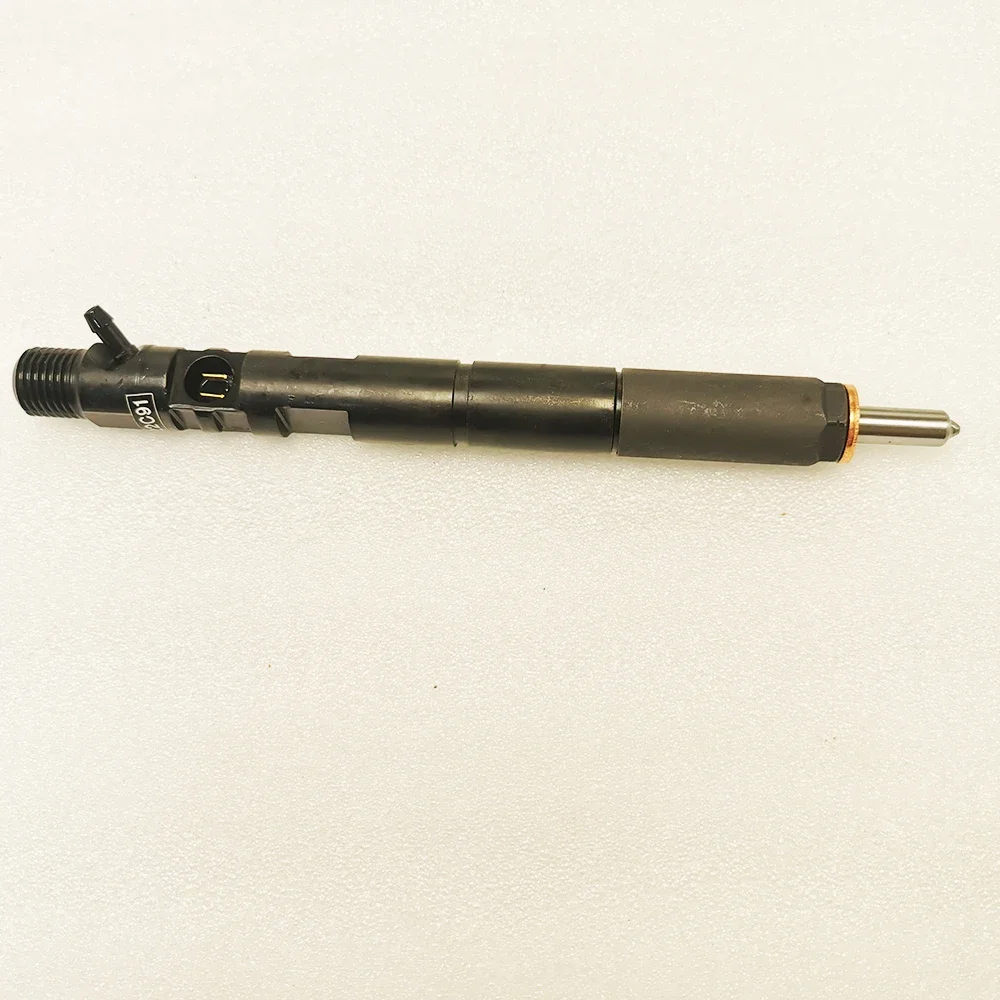 For 33800-4X800 New for Delphi EJBR02901D CRDI Diesel Fuel Injector for Hyundai Terracan KIA Carnival Sedona 2.9