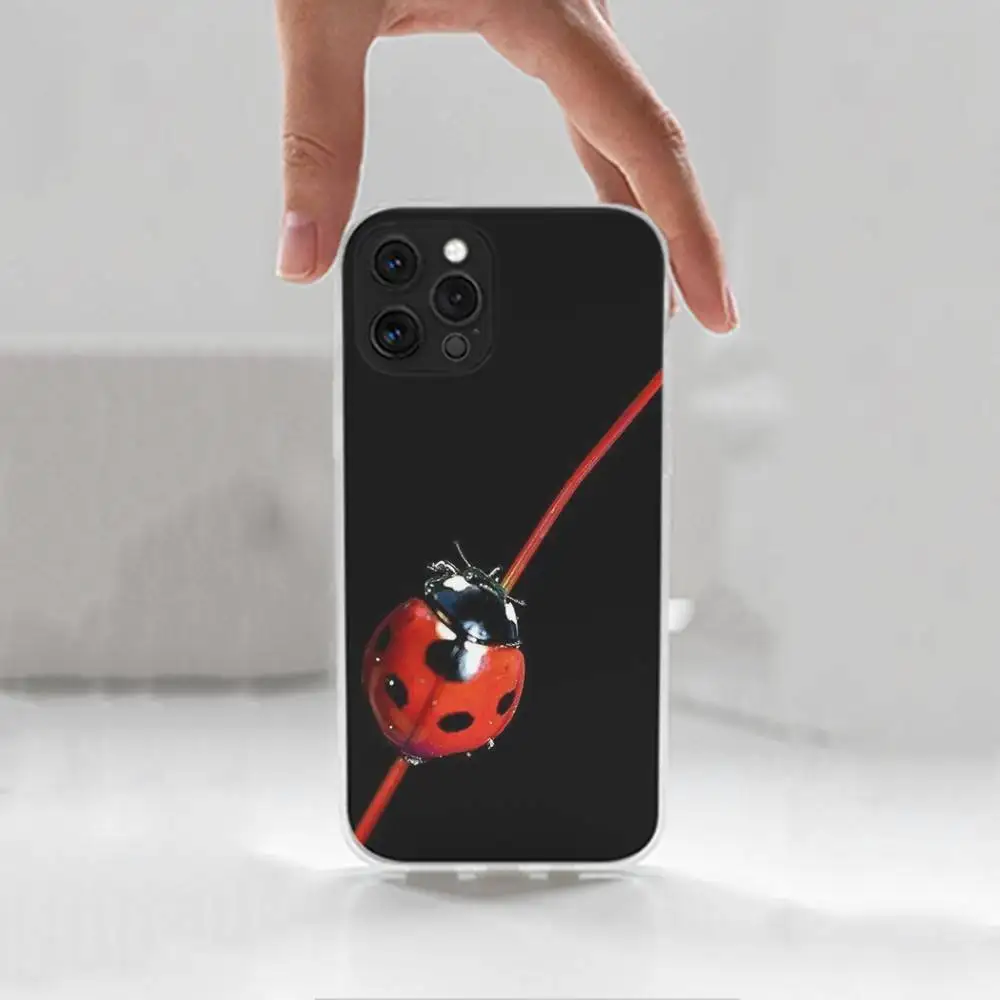 Funda de teléfono con forma de mariquita y insecto para iPhone 16,15,14,13,12,11 Plus,Pro,Max,XR,XS,X,7,8 Plus,SE,Mini, transparente, funda de silicona