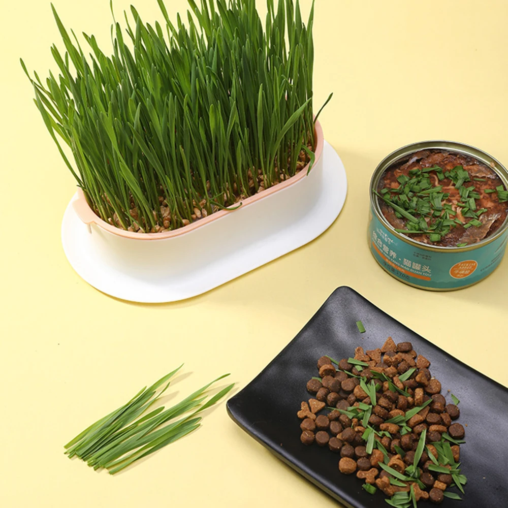 Pet Cat Grass Potted Hydroponic Plant Digestion Growing Tray Greenhouse Snack To Hair Ball Cleaning Stomach Grass Pot Grow Box