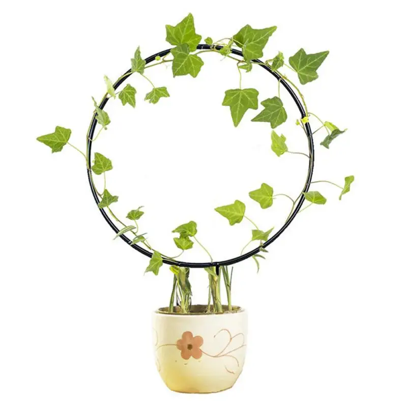 

Garden Plant Support Stake Stand -shaped Round Vine Climbing Rack Flower Plant Trellis Support Frame Garden Decor