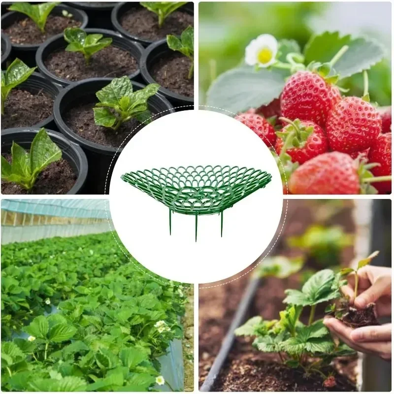 Heavy Duty Strawberry Plant Support Holder, 5pcs Metal Mesh Protector Cage for Outdoor Garden Vegetables & Fruits