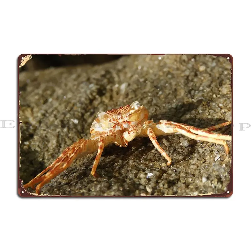 Crab Metal Sign Design Bar Cave Living Room Living Room Tin Sign Poster