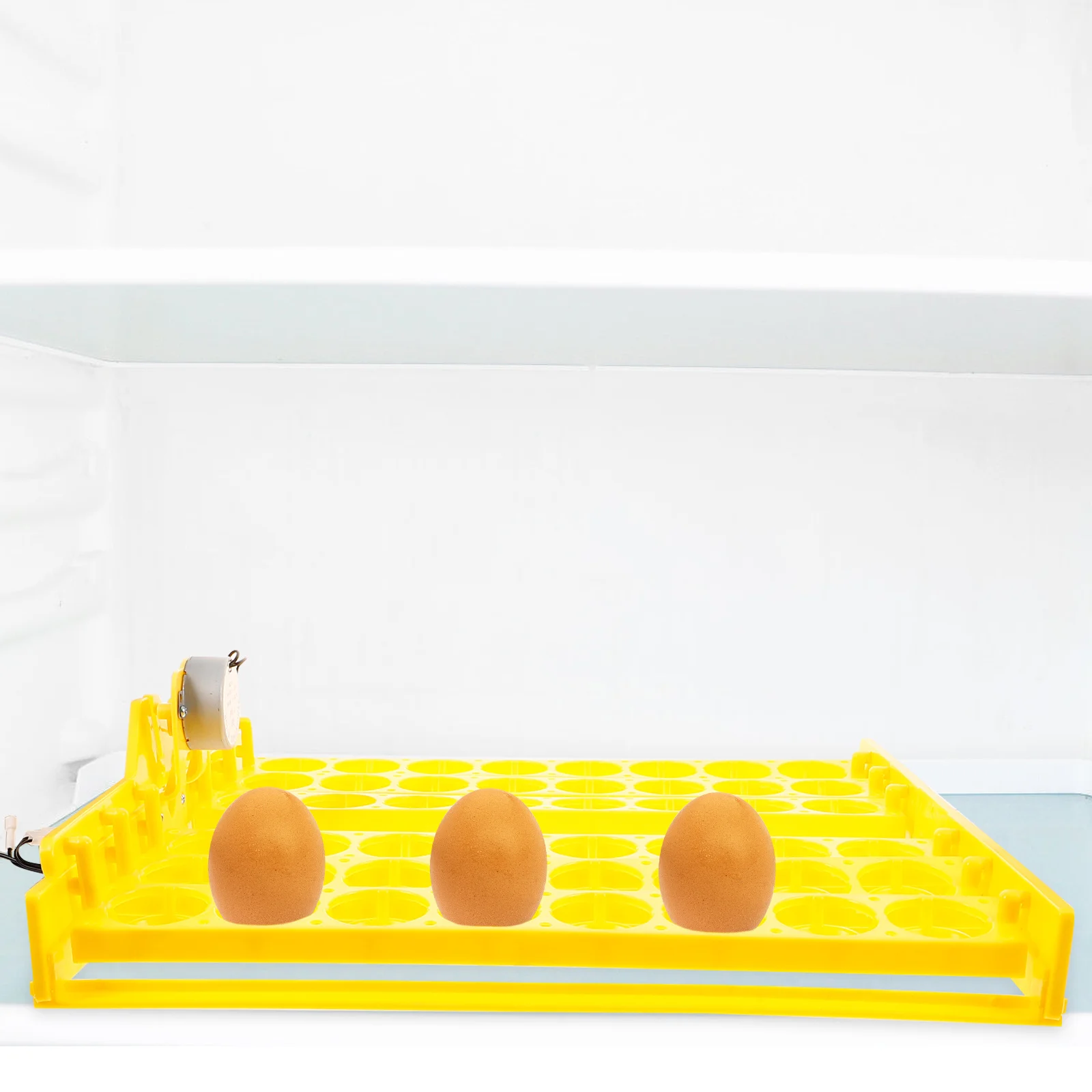 

egg incubator tray egg turner tray for incubator automatic egg turner egg hatch tray egg incubator automatic turner