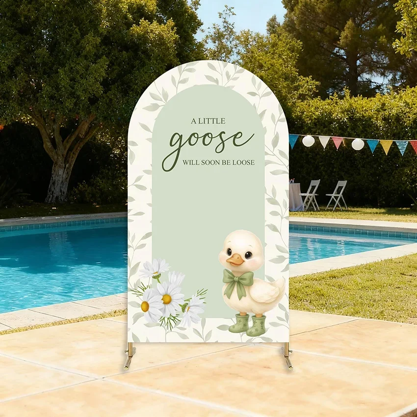 Custom Sage Green Silly Goose Arch Backdrop Cover kids Birthday Party Baby Shower decor Double Sided Arch Photography Background
