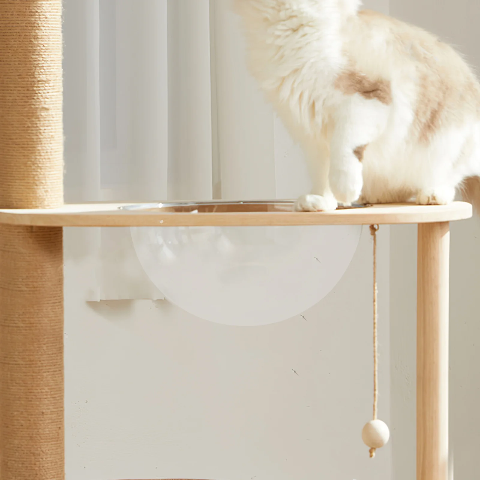 

Cat Climbing Frame Dome 22Cm Clear Acrylic Nest Capsule Bowl Indoor Cat Scratching Post Dome Kitten Capsule Window