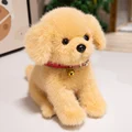 brown dog