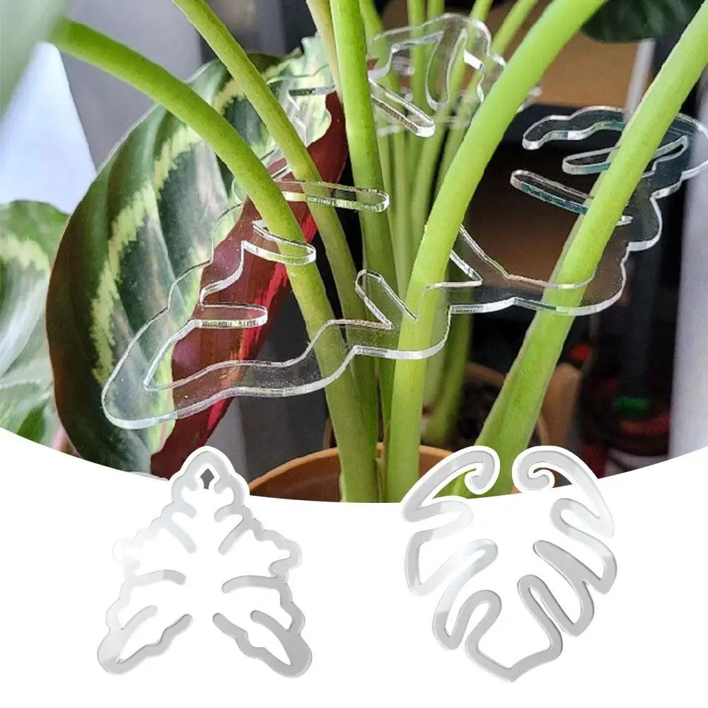 

Plant Support Stakes Transparent Monstera Shaped Plant Stand Reusable Sturdy Flower Stem Holder For Potted Plants Unique Support