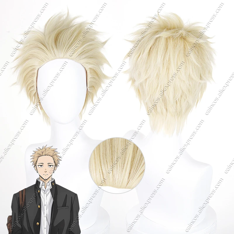 

Rintaro Tsumugi Cosplay Wig 30cm Short Linen Mixed Color Heat-Resistant Synthetic Hair