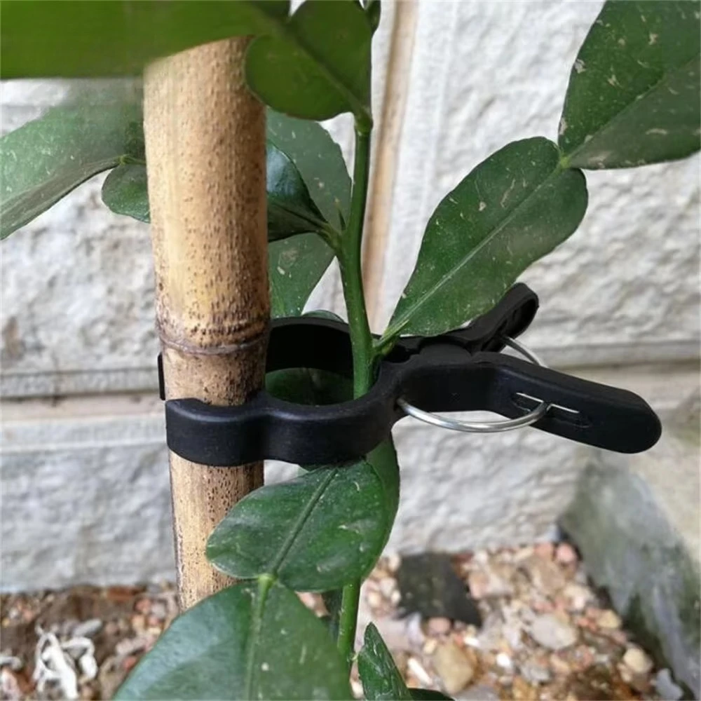 10PCS Horticultural Accessories Plant Flower Clip Support Stem, Tomato Support Clip
