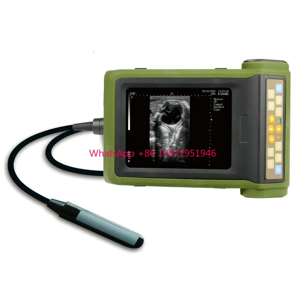 

Kaixin rku10 portable handheld bovine sheep veterinary ultrasound machine for pigs cows horse cattle animals