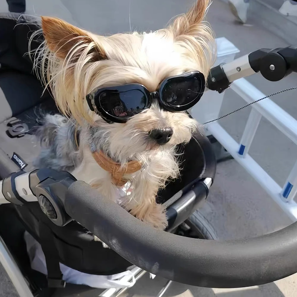 Retro Pilotenbrille für kleine Hunde, Fahrradbrille für Haustiere, Yorkshire Pinscher Sonnenbrille, Fotografie-Zubehör für Haustiere – Detail 6