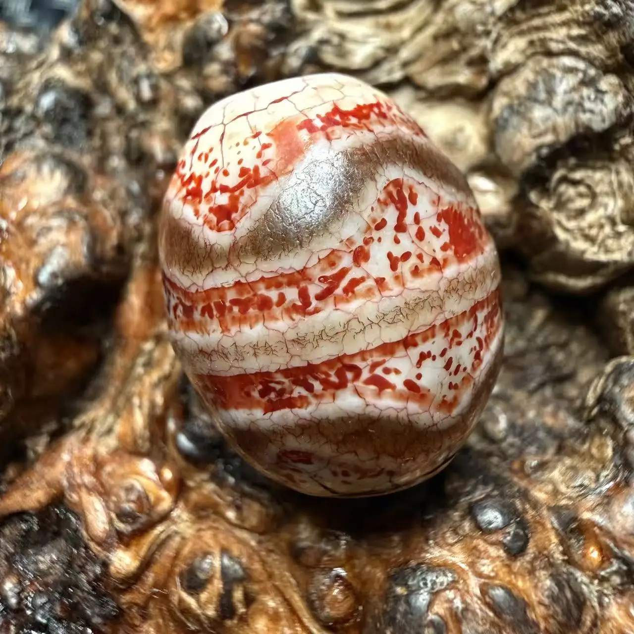 Old Tibetan Agate Calcified folds in redness dragon scaleDarrow Double Tiger Teeth totem Dzi Bead Pendant Amulet 20x17mm