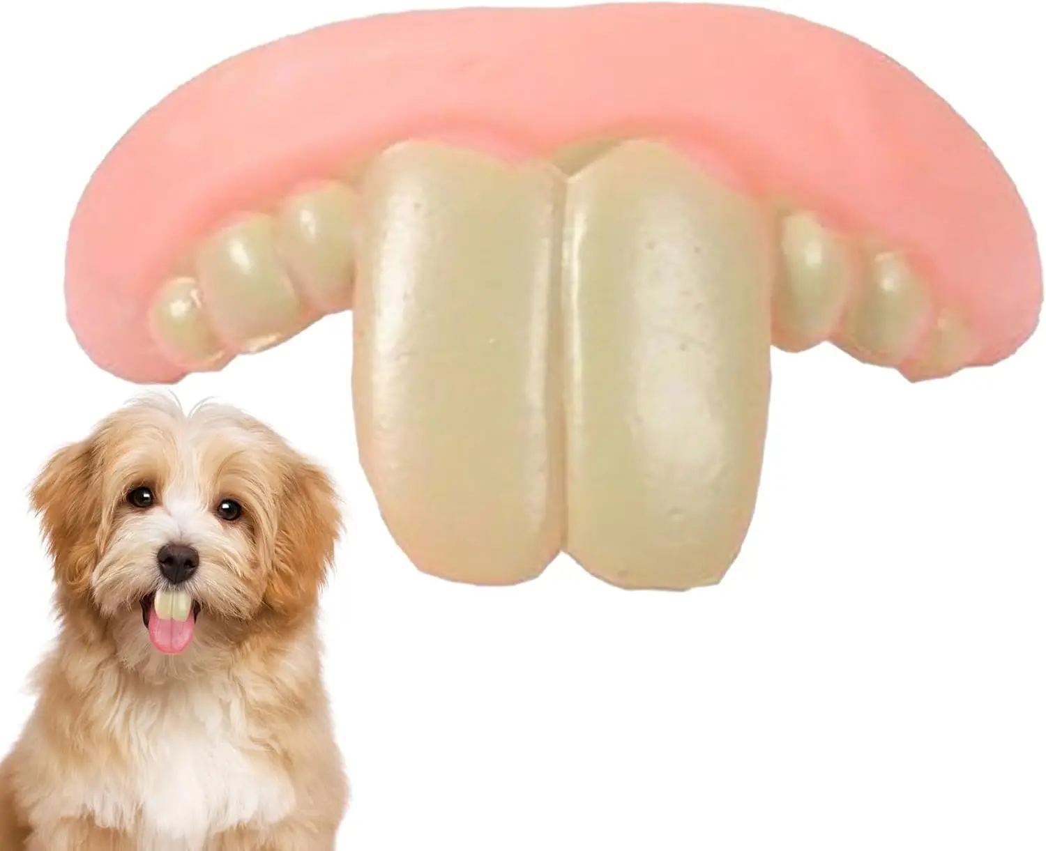 Prothetisch speelgoed voor honden Grappig siliconen speelgoed voor valse tanden Hondentandapparaat Hondenspeelgoed Grappig speelgoed Speelgoed met hondentandapparaat