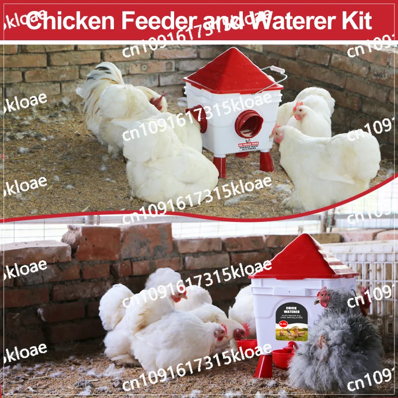 Automatic drinking fountain feeder, chicks, poultry farming equipment, chickens, ducks, geese