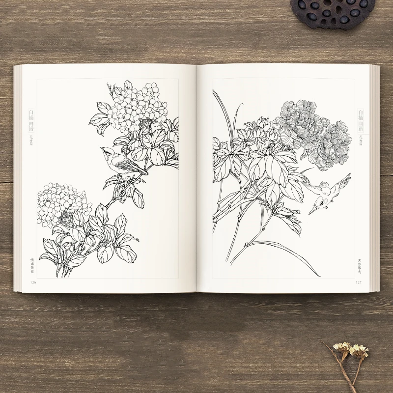 Line Drawing Painting Book Character Flower Bird Chinese Meticulous Painting Technique Book Animal Vegetable Fruit Picture Album