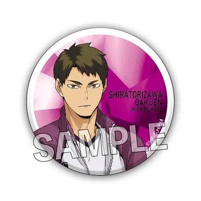 Anime Haikyuu!! Iwaizumi Hajime Akaashi Keiji Ushijima Wakatoshi Miya Atsumu Kotaro Bokuto Cosplay Metal Badge Backpack Decorate