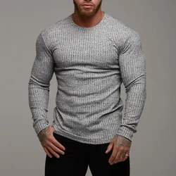 Spring Autumn Knitted Exercise Long Sleeved T-shirts Mens Round Neck Slim Fit Running Casual Gym Training Sports Tees Shirt