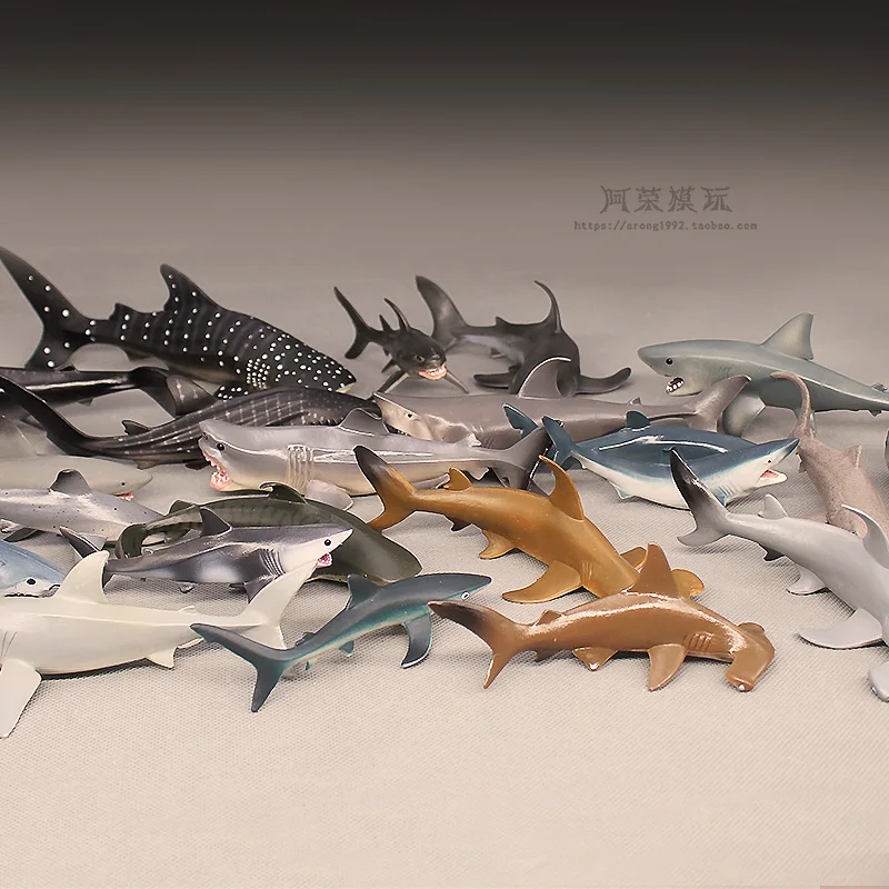 Simulazione cognitiva Modelli di animali marini Squalo a testa di martello Squalo blu Squalo balena Action Figures Accessori per ornamenti in miniatura