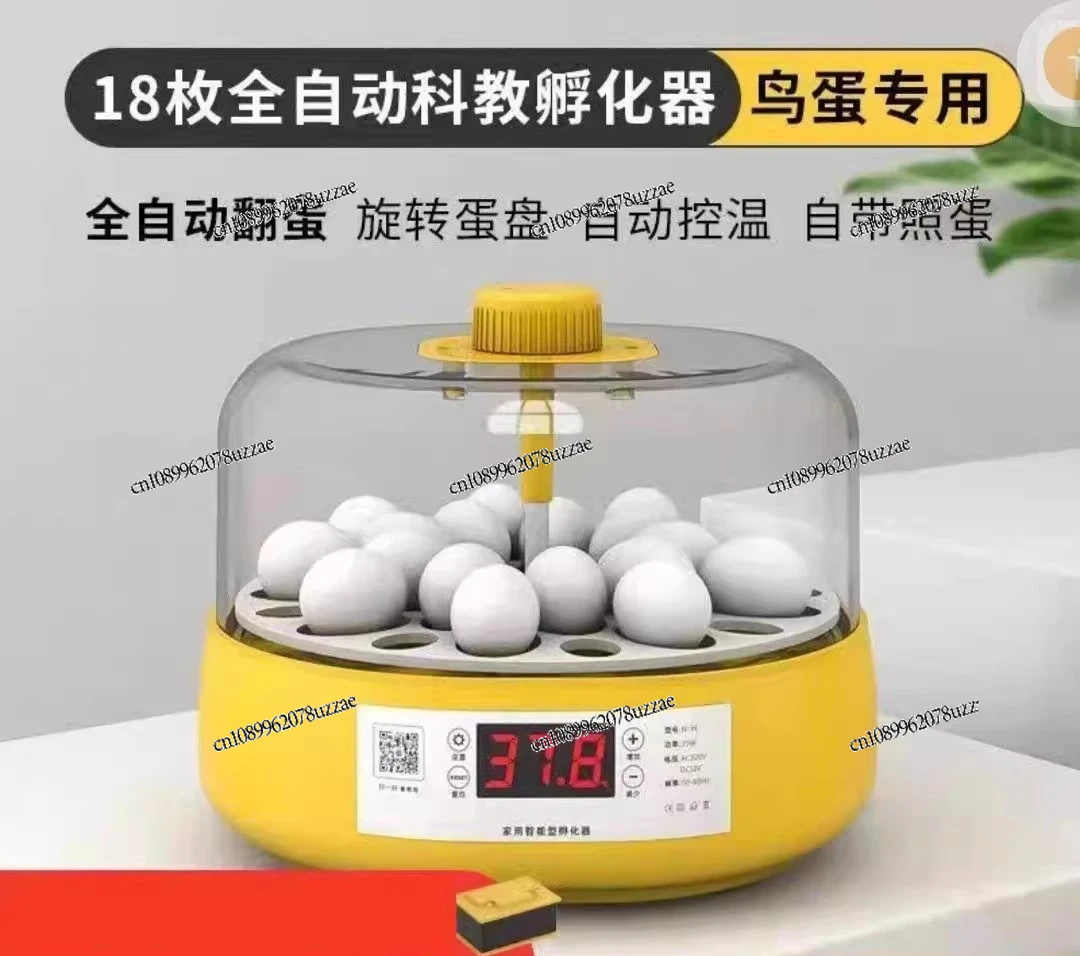 Bird Parrot Incubator Small Household Machine Xuanfeng Peony Quail Pigeon Tiger Skin Intelligent