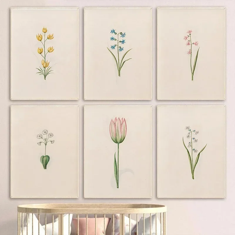 Vintage Spring Floral Plant Illustration Poster Colourful Wildflower Botanical Canvas Painting Wall Art Nursery Room Home Decor