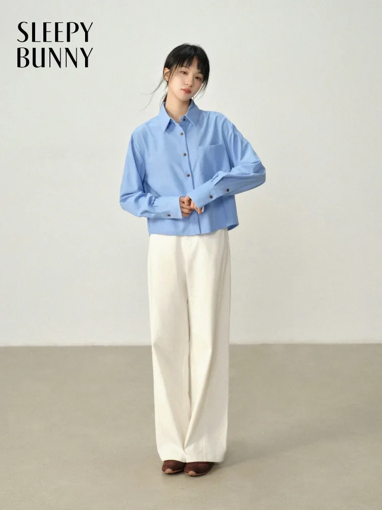 

Vintage Blue Collared Shirt Elegant Casual Long Sleeve Blouse Office Top Autumn Slim Fit Simple Layered Commuter Workwear Cloth