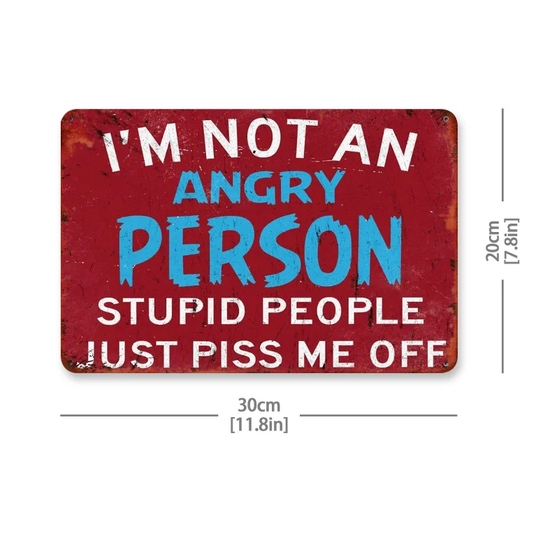 2D Flat, 2D Flat Funny Sarcastic 'I'm Not An Angry Person' Vintage Metal Sign - Perfect for Man Cave, Garage, Bar, or Farmhouse