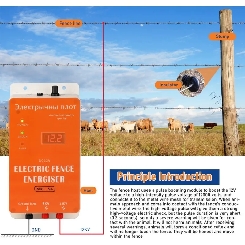 Smart 12V Electric Fence ,Waterproof Kit For Farm Animals, Poultry, Ranches And Garden EU Plug