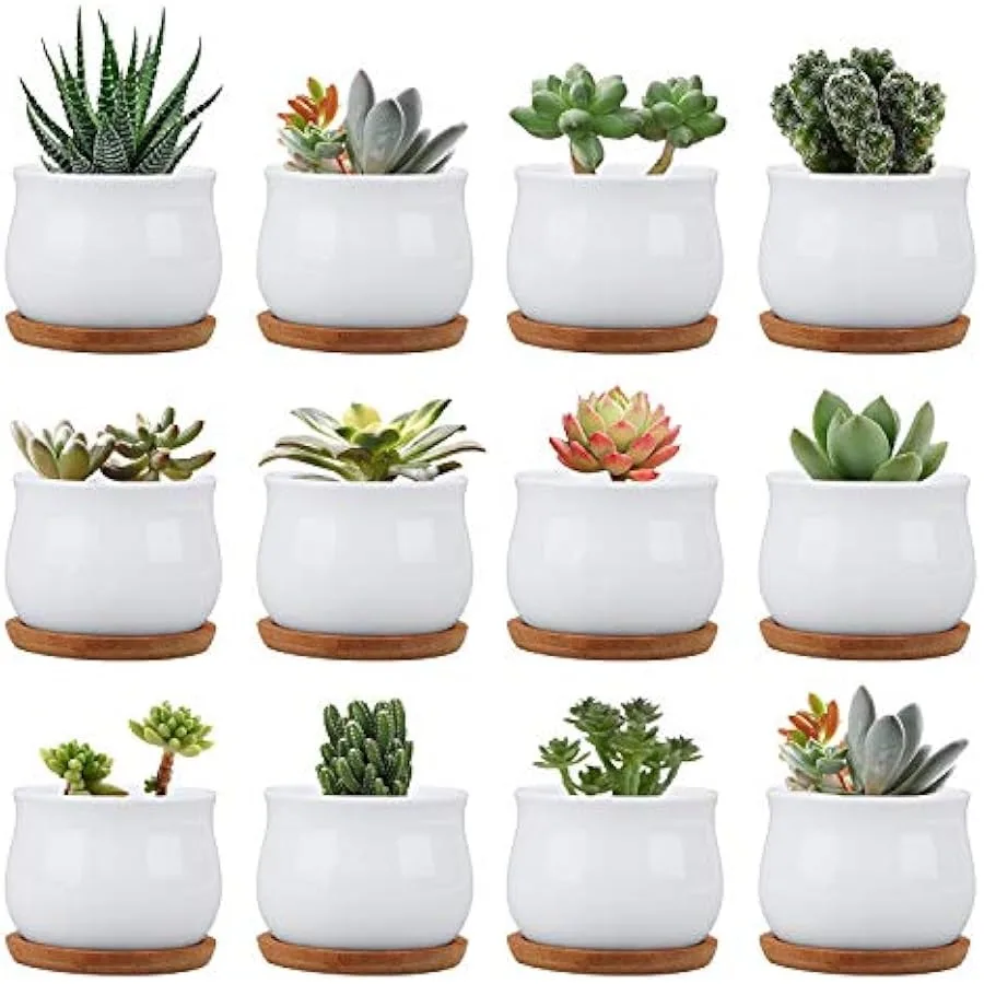 

Succluent Pots Small Flower Pots Planter Pots with DrinageCeramic Flowers Pots with Bamboo Tray for Cactus 12 Pack