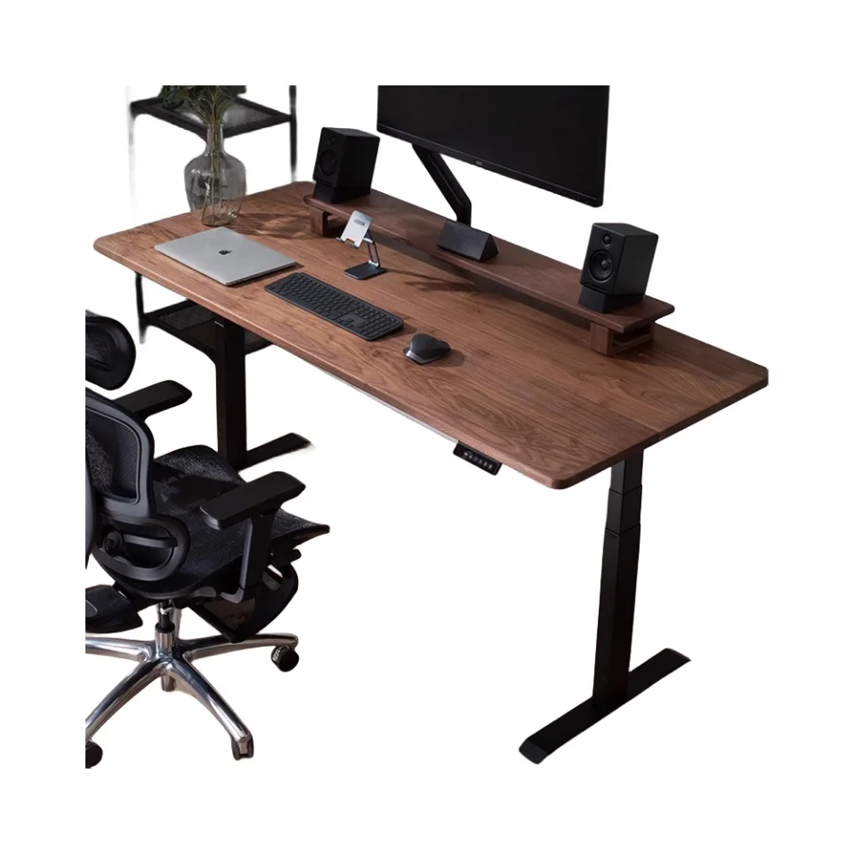 Dual-Motor Electrically Adjustable Standing Desk Luxury Office Furniture Height Adjustment Adjustable Desk Frame Seated Desk