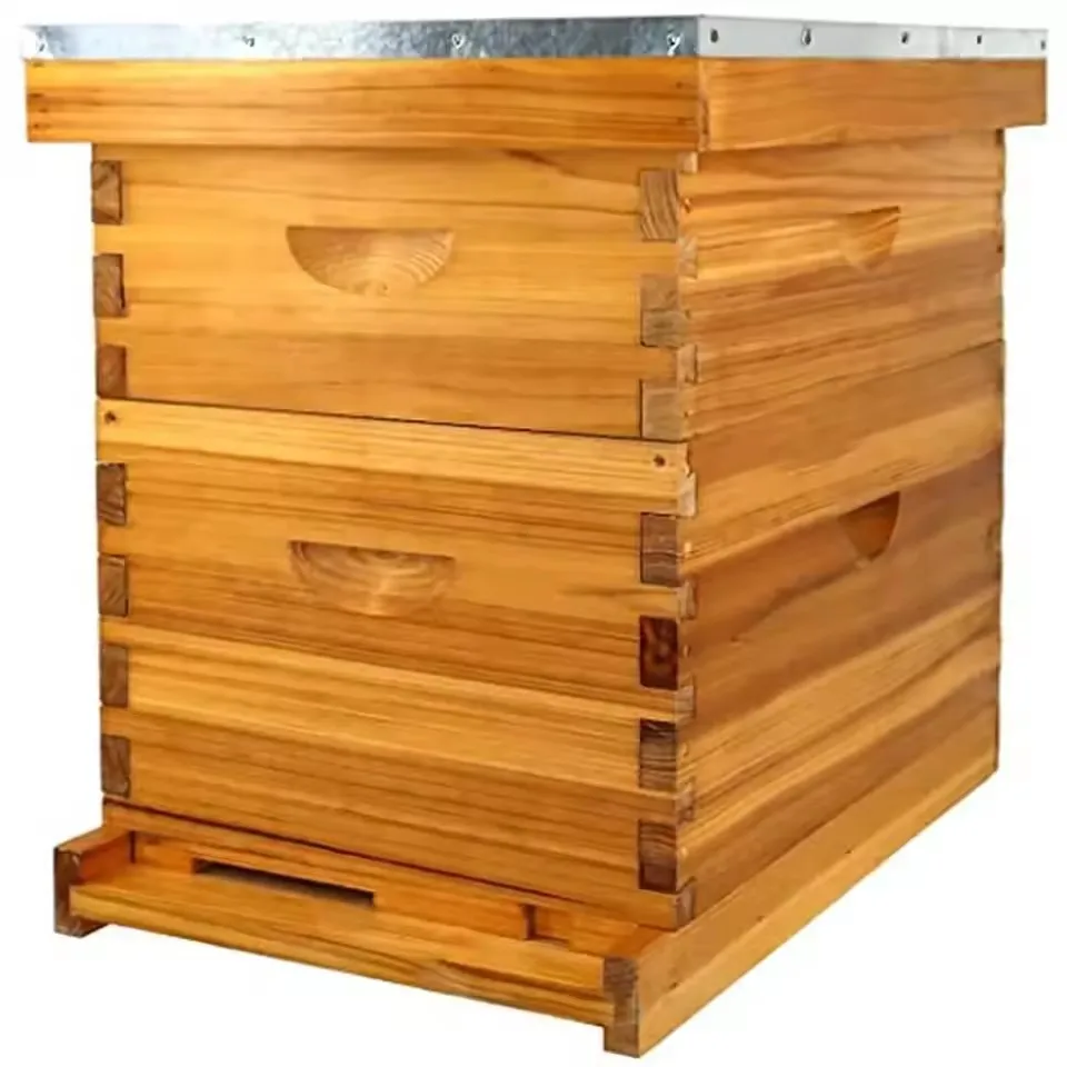 

Complete Beehive Kit With China Fir Frames 10 Frame Yellow Bee Box Suitable For Beekeeping