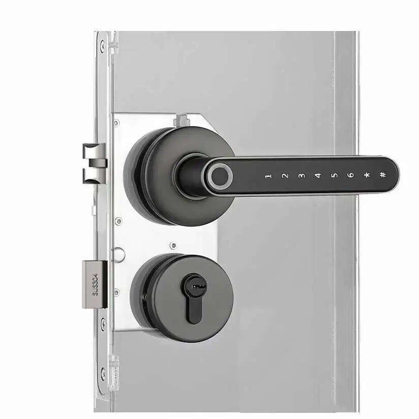 Ble Home Digital Bedroom Round Interior Doors Handel Design Lever Security Fingerprint Smart Door Lock