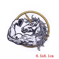 iron patch 14