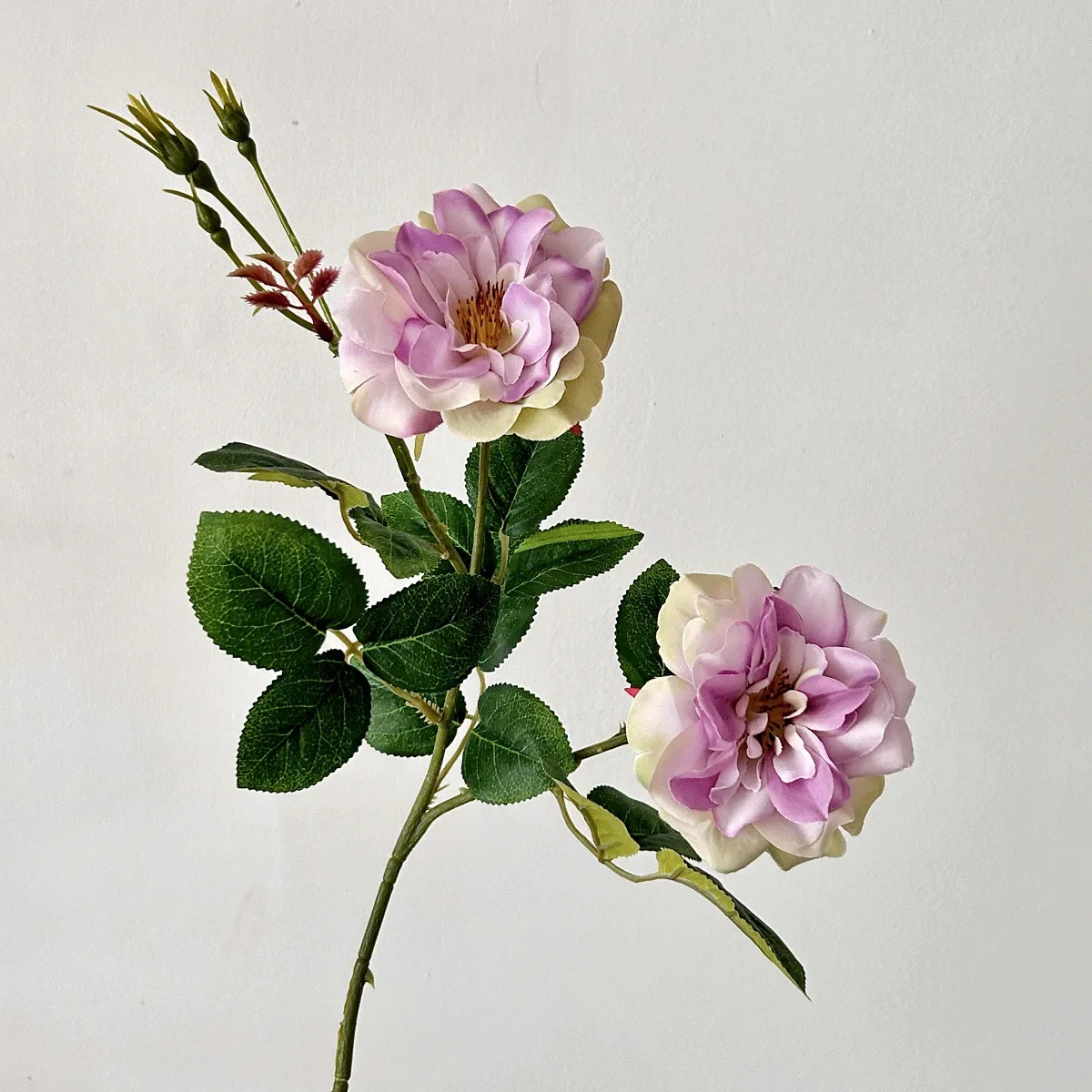 Variant: Light Purple