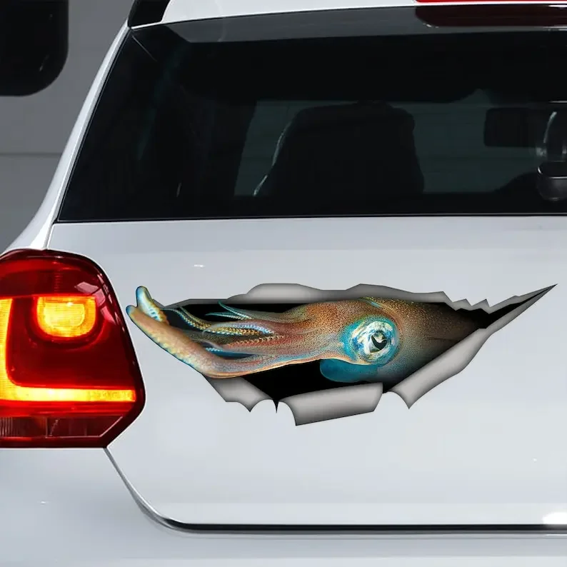 Squid decal, Squid car sticker, Squid magnet, funny car decal