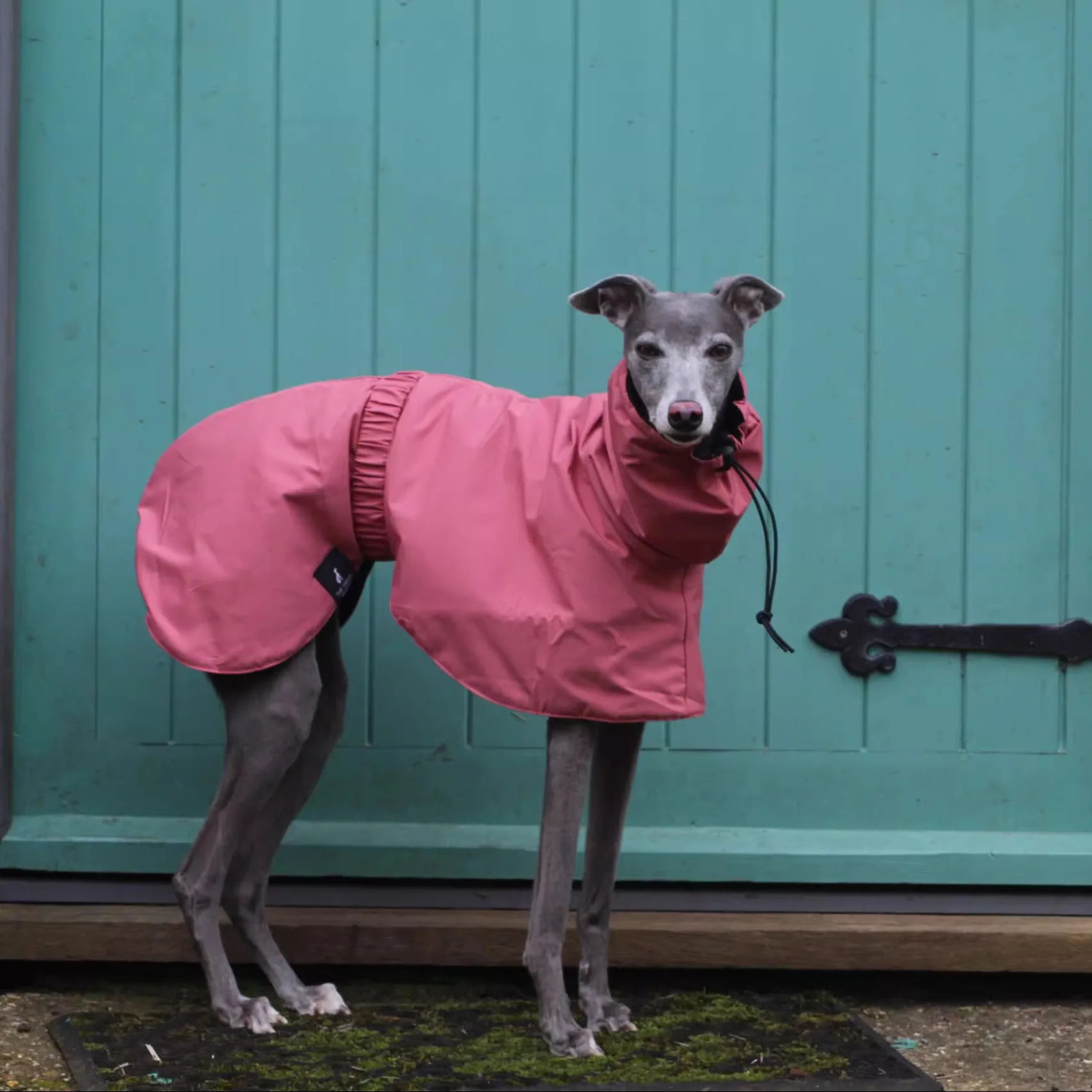

Fashion Adjustable Greyhound Whippet Raincoat Waterproof Windproof Berlington Terrier Soft Dog Vest Jacket for Media Large Dogs