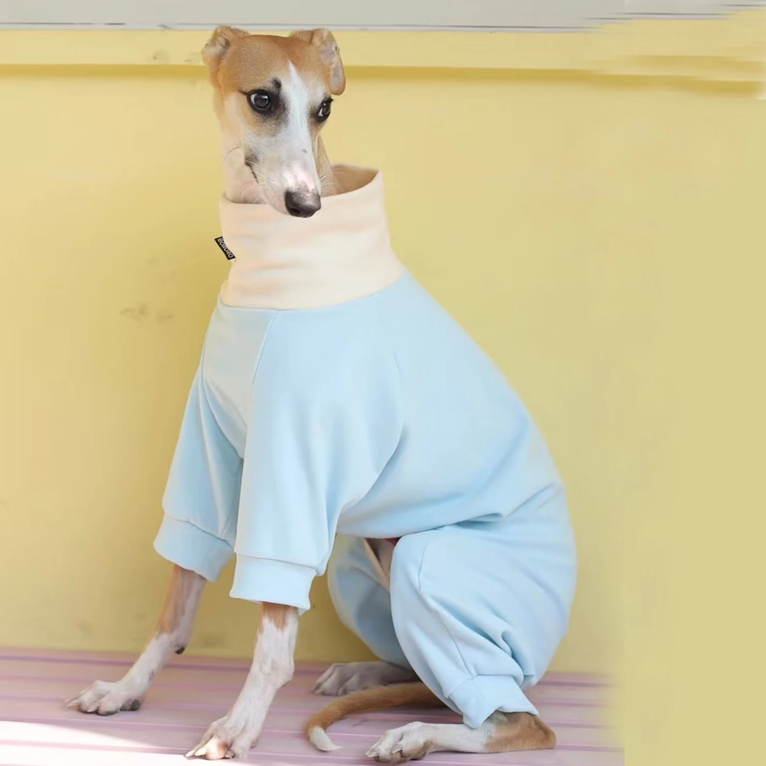 

Blue-Yellow High Neck Cotton T-shirt for Greyhound in Spring Elestic Soft Long Sleeves Coat for Whippet Terrier Dog Loungewear