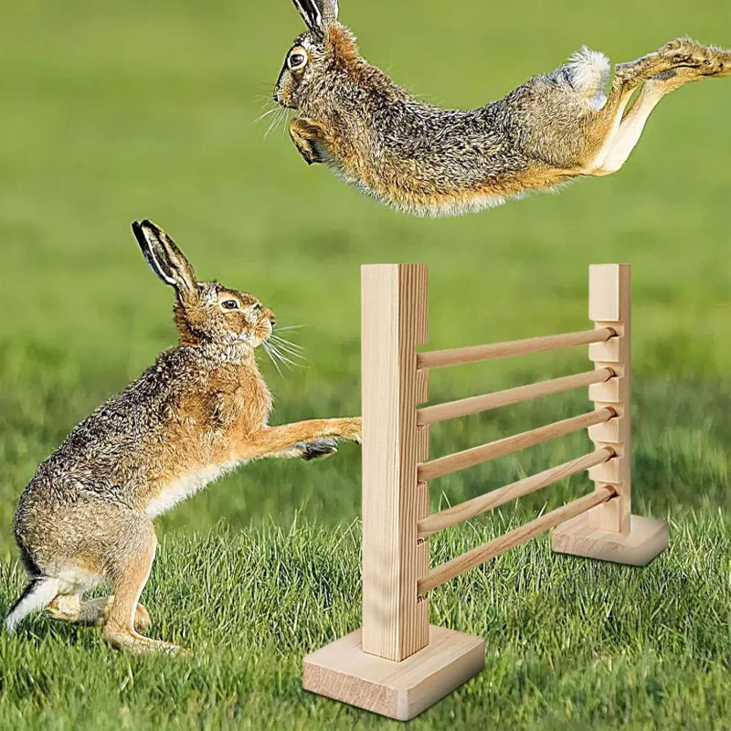 

Игрушка-полюс для тренировки прыжков с веткой цветка белки, съемная, простая в установке, прочная и долговечная, из дерева