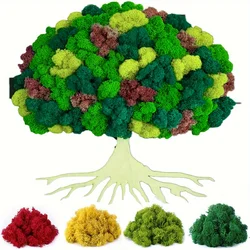 Forever Reindeer Moss, Forever Moss Bulk, Colorful Moss for Craft Wall Decor Fairy Garden Glass Containers DIY Art Flower Projec