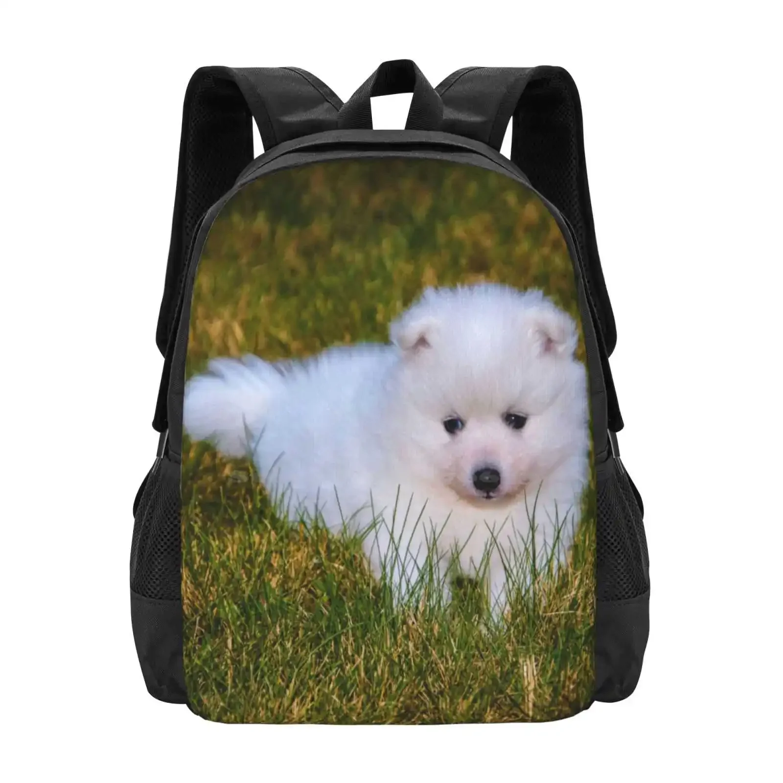 

Puppy Hot Sale Schoolbag Backpack Fashion Bags Puppy Cute Dogs Puppies Animals Dog Lover Funny Doggo Corgi Golden Retriever
