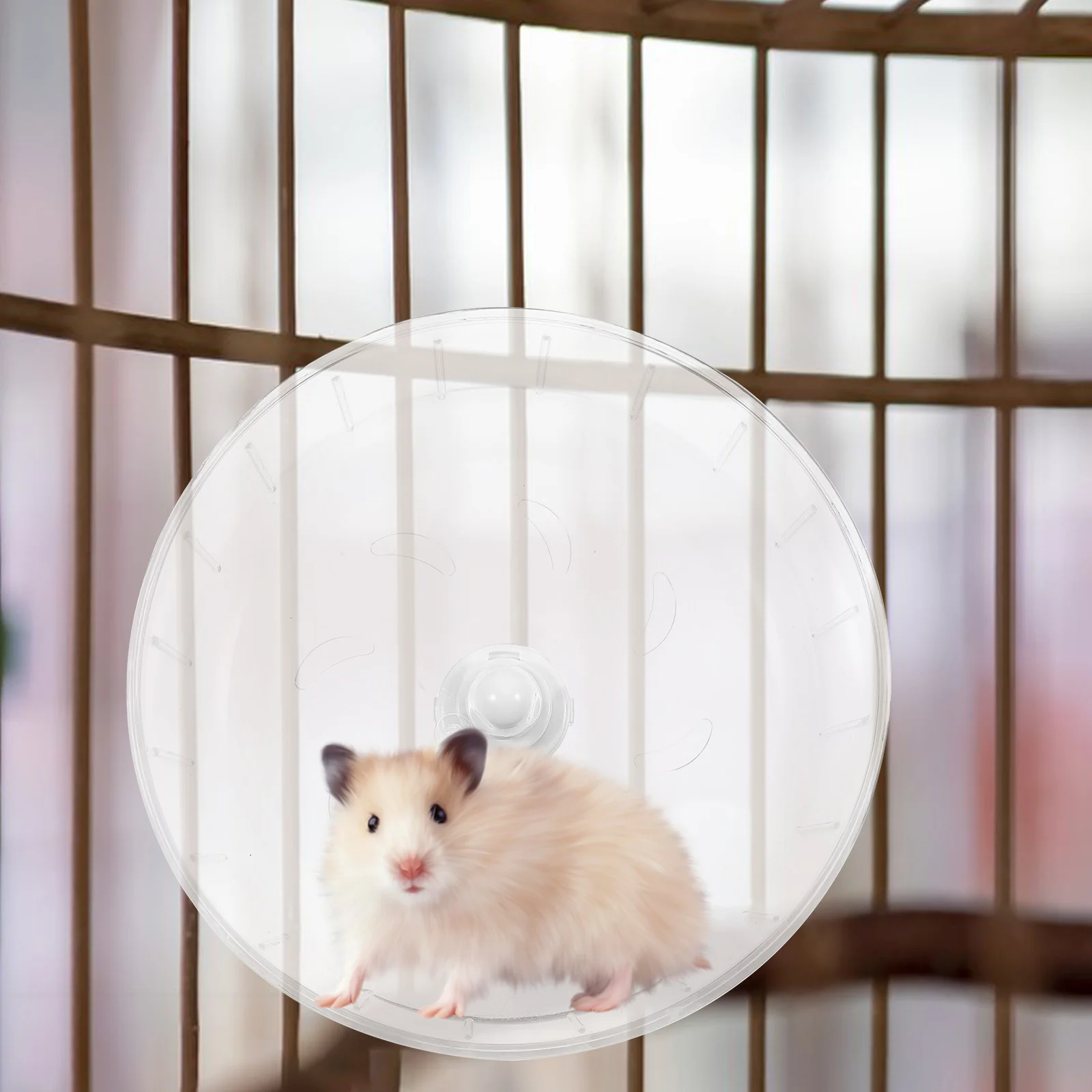 Roue de course pour Hamster, hérisson Transparent, fourniture de Chinchilla domestique, accessoire pour petits animaux, silencieux