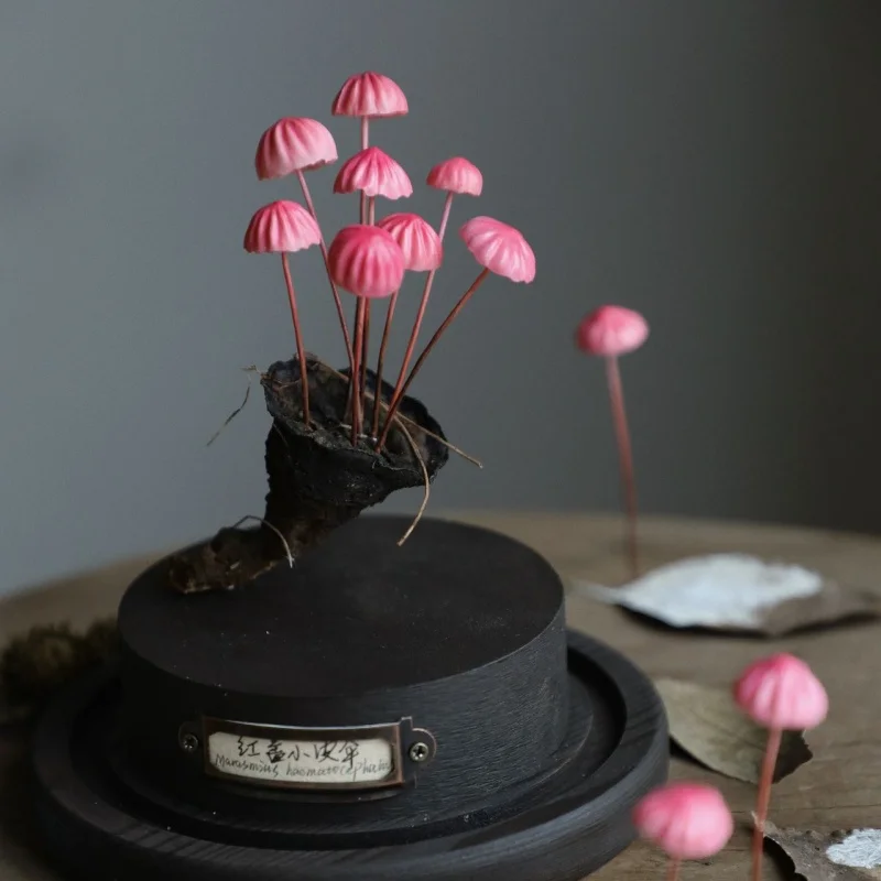 Ornements de champignons artisanaux faits à la main Marasmius rouge, jouets de bureau, œuvre d'art personnalisable, Collection de décoration, cadeau