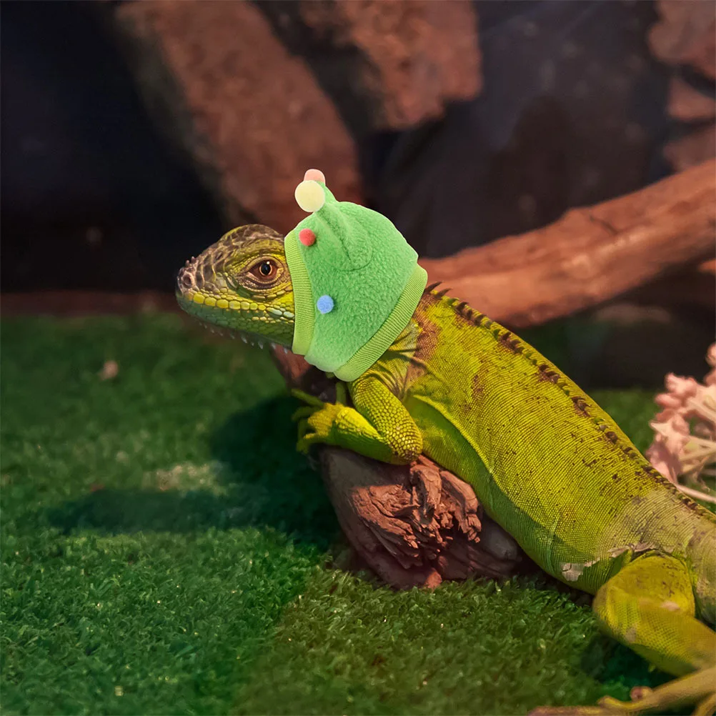 

2Pcs Funny Pet Hat Adjustable Neck Strap Hat for Bearded Dragon Lizard Gecko Parrot Pet Bonding Activity Reptile Costume Cap