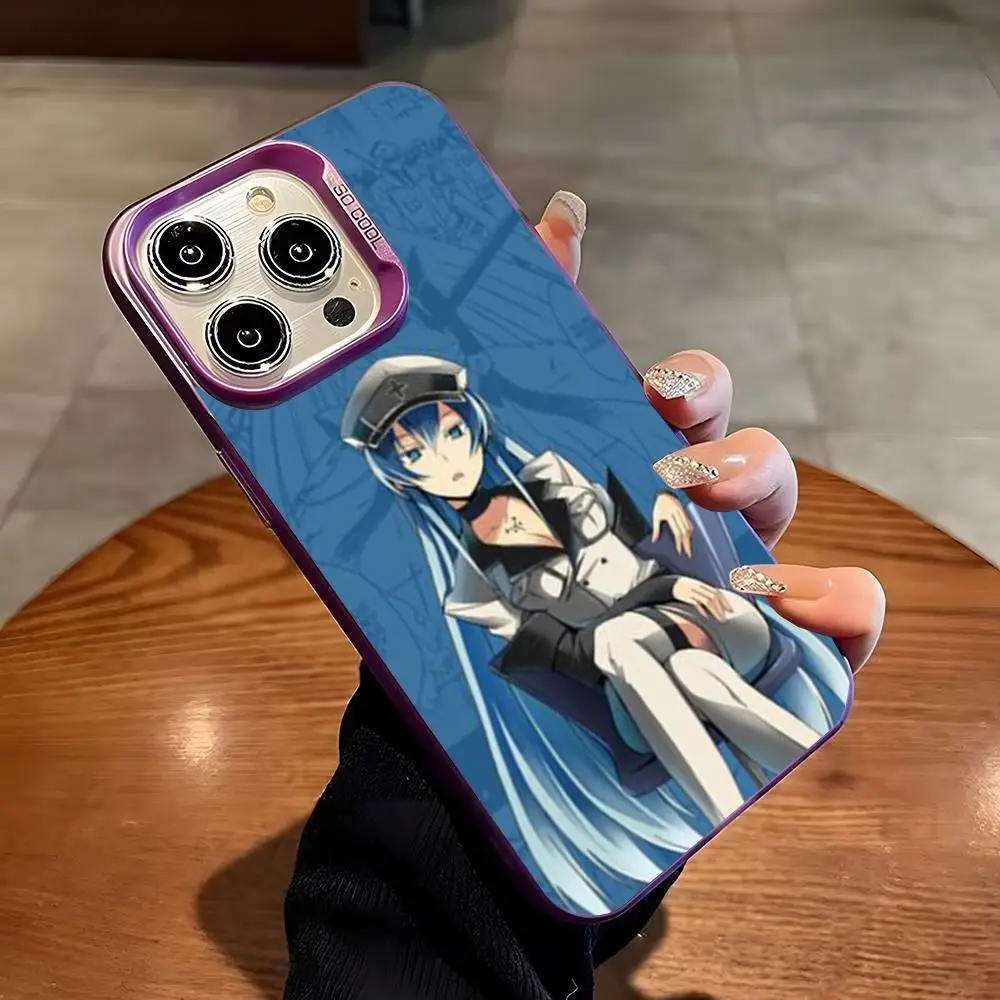 Esdeath Akame Ga Kill Anime Phone Case For For IPhone 16 Pro Max 15 Pro 14 Plus 12 13 X XS Max XR 11 Pro Colorful Silver Cover