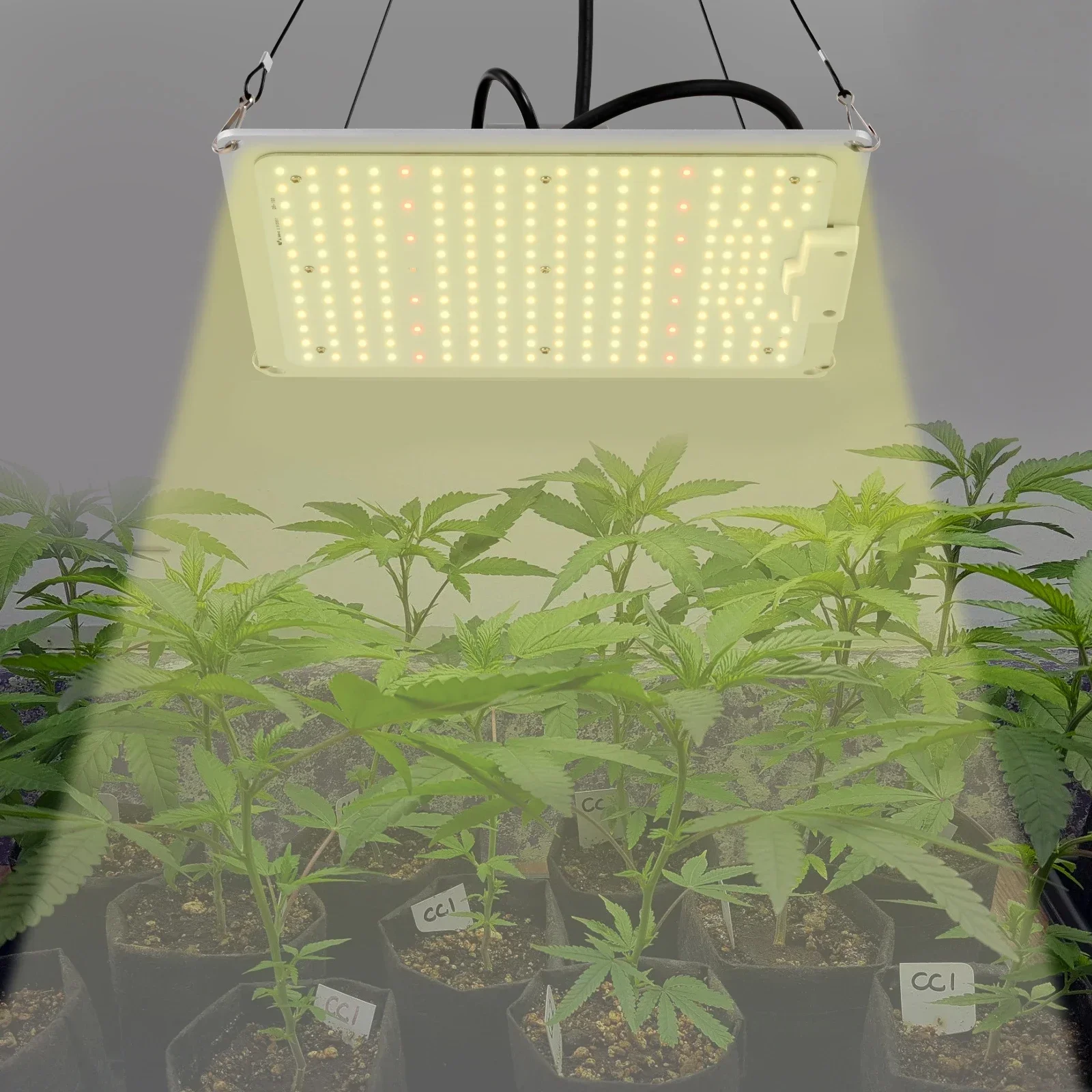 Lampada da coltivazione a spettro completo da 110 W con manopola dimmerabile, LED LM301B, durata di oltre 50000 ore, basso rumore, alta efficienza per erbe, fiori