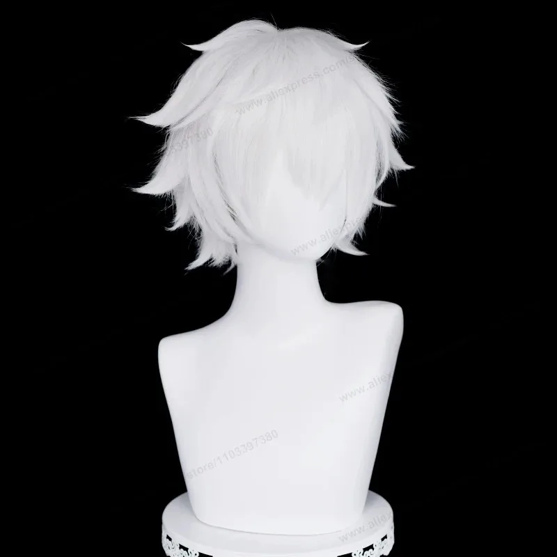 Peluca de Cosplay Lu Guang, 30cm, pelo corto, rizado, plateado, blanco, para hombre, pelucas sintéticas resistentes al calor de Anime, 5;d'2.y;8'