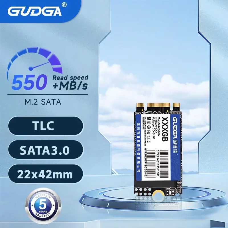 GUDGA M2 SATA 2242 SSD SATA3 128GB 256GB 512GB NGFF Internal Solid State Hard Drives TLC for Laptop Destop Thinkpad