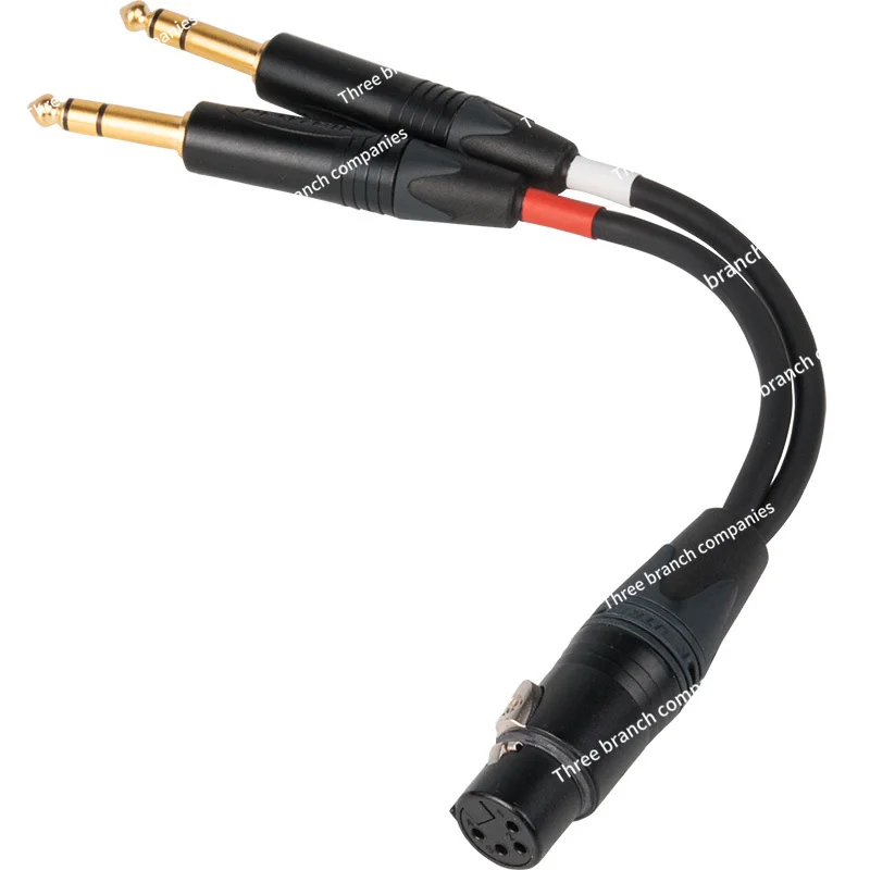 Double 6.35Mm To Fo…